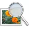 GSA Image Analyser